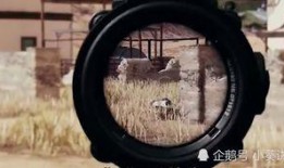 和平精英新枪爆料最新视频,神秘武器震撼来袭，视频揭秘性能与外观